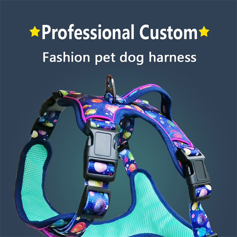 Detail-02 small dog harness.jpg
